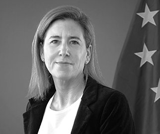 Sabadell Carnicero Maria Concepcion Eucrim